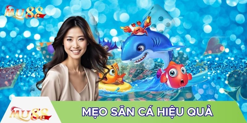Mẹo săn cá hiệu quả