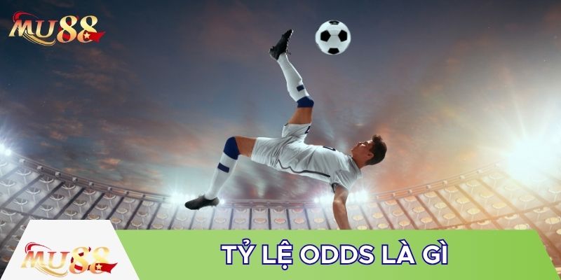 Tìm hiểu tỷ lệ odds là gì
